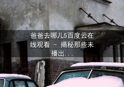 爸爸去哪儿5百度云在线观看 - 揭秘那些未播出的亲子秘密