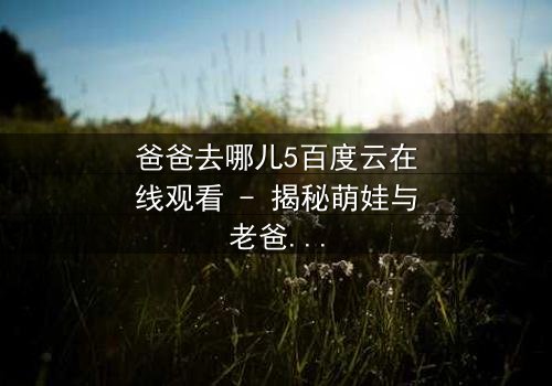 爸爸去哪儿5百度云在线观看 - 揭秘萌娃与老爸的温情冒险